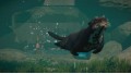 Planet Zoo: Aquatic Pack