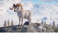 Planet Zoo: Arctic Pack