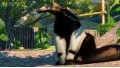 Planet Zoo: South America Pack