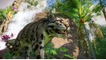 Planet Zoo: Southeast Asia Animal Pack