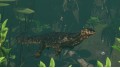 Planet Zoo: Tropical Pack