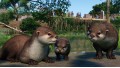 Planet Zoo: Wetlands Animal Pack