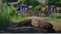 Planet Zoo: Wetlands Animal Pack